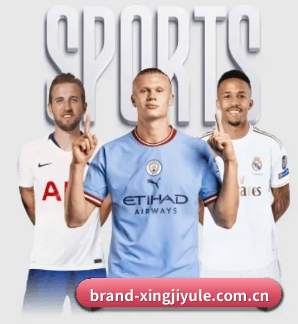 本站五个常用功能入口,赛程查询路径更短(Xingji)